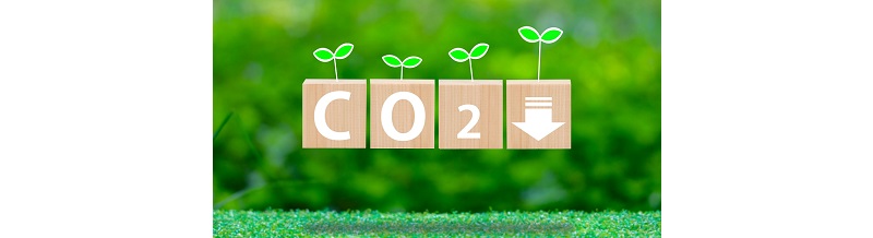 CO₂削減を意識した引越しプランの比較ポイント