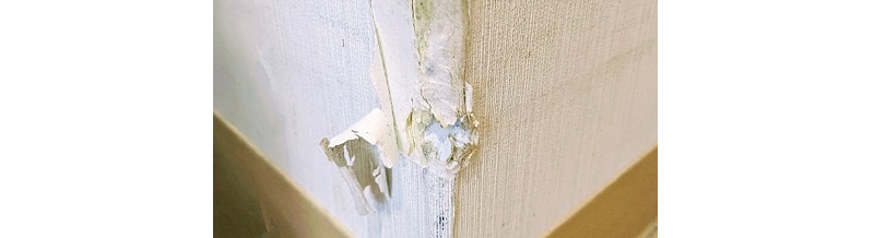 引越し中に起きた損傷や紛失の補償内容と申請手続き