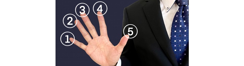 相見積もりで比較すべき5つの項目【価格だけで選ばない】