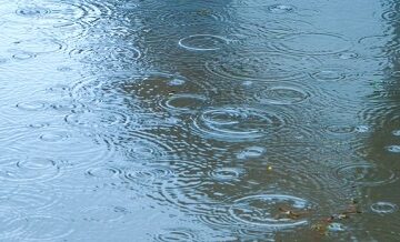 引越し予定日に雨！対応してくれる業者とそうでない業者の差