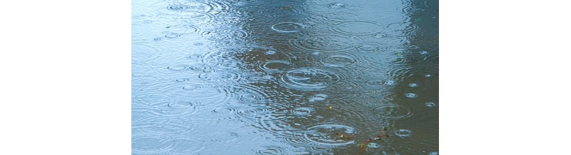 引越し予定日に雨！対応してくれる業者とそうでない業者の差