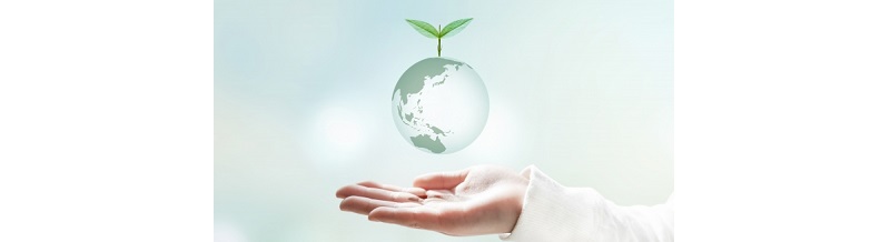 エコ梱包資材の選び方と活用法ガイド