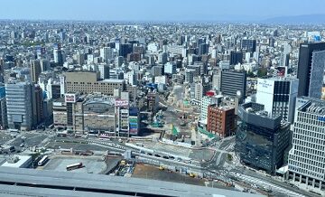 全国主要都市の繁忙期比較と予約のコツ