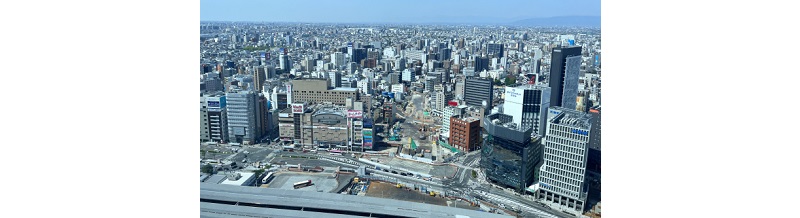全国主要都市の繁忙期比較と予約のコツ