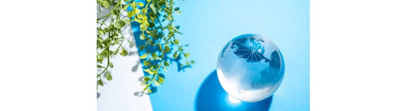 断捨離から始めるサステナブル引越しステップ