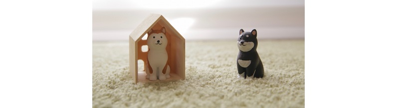 ペットと一緒の引越し対応業者を比較してみた